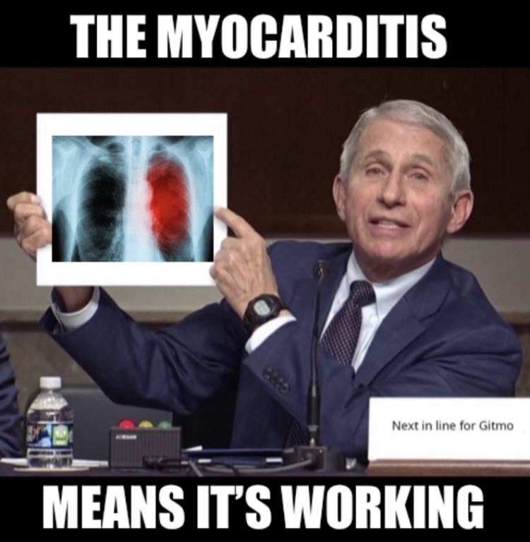 Dr Fauci Myocarditis Meme